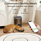 NPET 4L Smart Automatic Pet Feeder with Stainless Steel Bowl