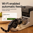 RFID Smart Cat Feeder - 3L Automatic Feeder with App Control and Collar Tag