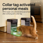 RFID Smart Cat Feeder - 3L Automatic Feeder with App Control and Collar Tag