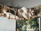 39.4" Wall-Mounted Cat Bridge with Sisal Rope Steps
