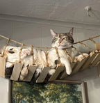 39.4" Wall-Mounted Cat Bridge with Sisal Rope Steps