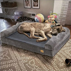 Orthopedic Memory Foam Dog Bed - Extra Large Sofa Style with Waterproof Removable Cover