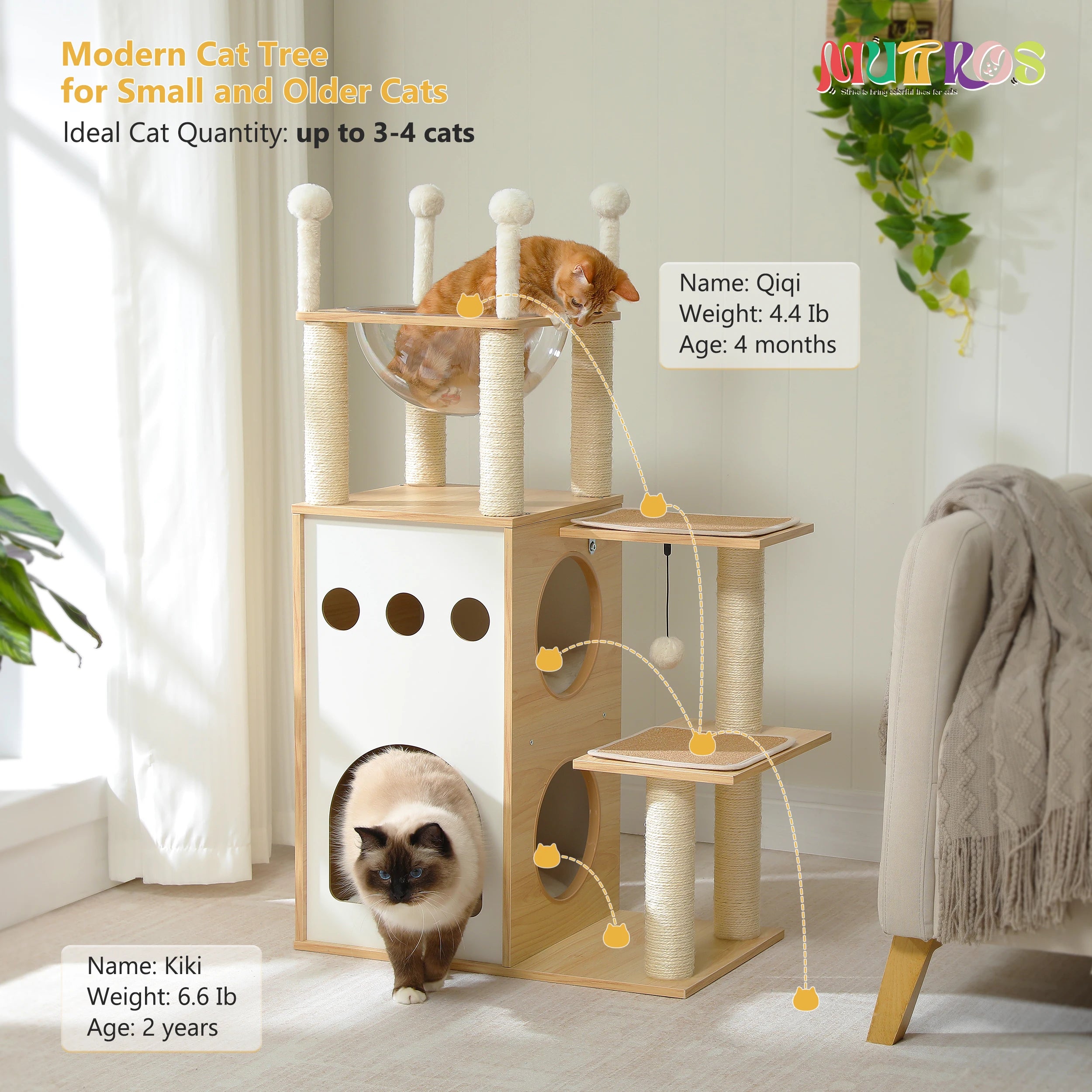 Modern Wooden Cat Tree with Capsule Nest and 2-Floor Condo