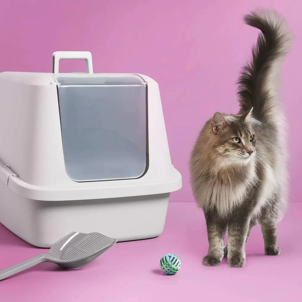 Large Enclosed Cat Litter Box with Front Entry Door - BPA Free