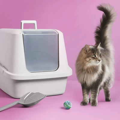 Large Enclosed Cat Litter Box with Front Entry Door - BPA Free