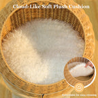 Dinosaur Cat Tree Tower - Rattan Wicker Condo with Sisal Posts