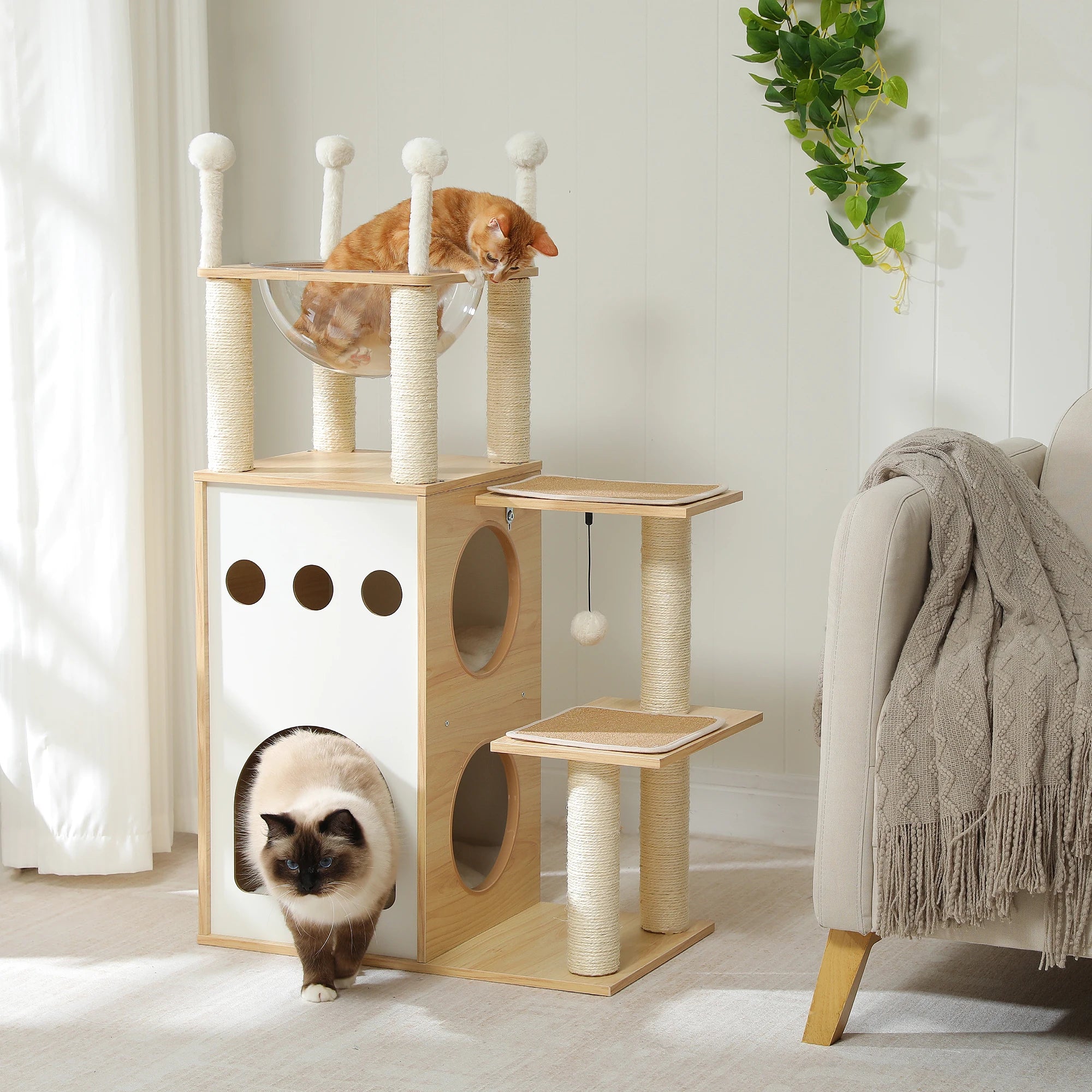 Modern Wooden Cat Tree with Capsule Nest and 2-Floor Condo